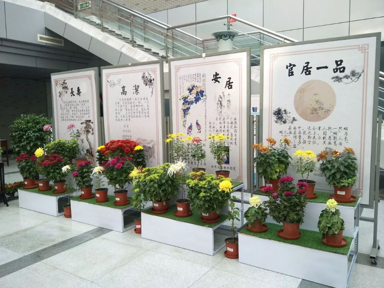 球队后勤保障周到，让球员尽展所长，全心备战的简单介绍
