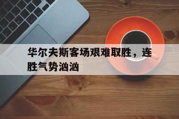 开云体育网站-华尔夫斯客场艰难取胜，连胜气势汹汹